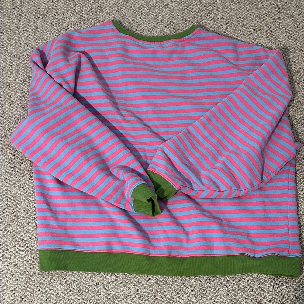 Women’s Natural Life Striped Pink and Blue Crewneck Sweater with Green Trim - Picture 4 of 7